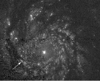 [SN 1994I in M51, HST]